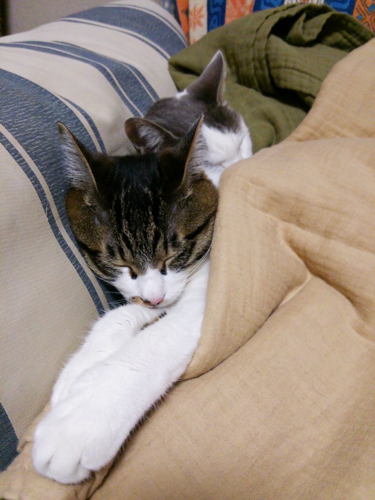 肌寒いんです