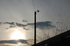 寂しいけど好きな時間