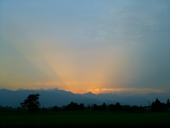 IMG_20140723_000551