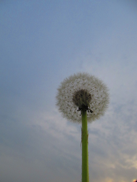 ちっぽけな自分