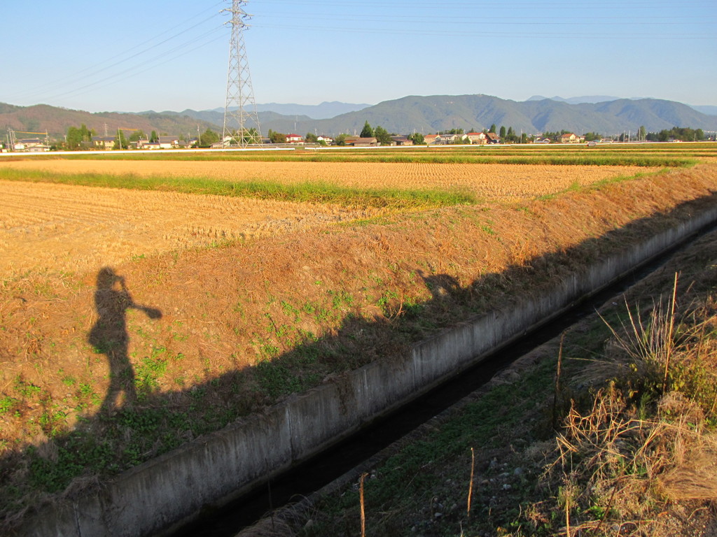 愛犬と私の距離
