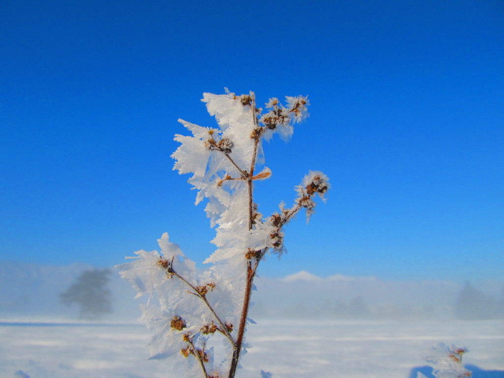 －９℃の朝