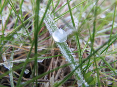 氷の水玉
