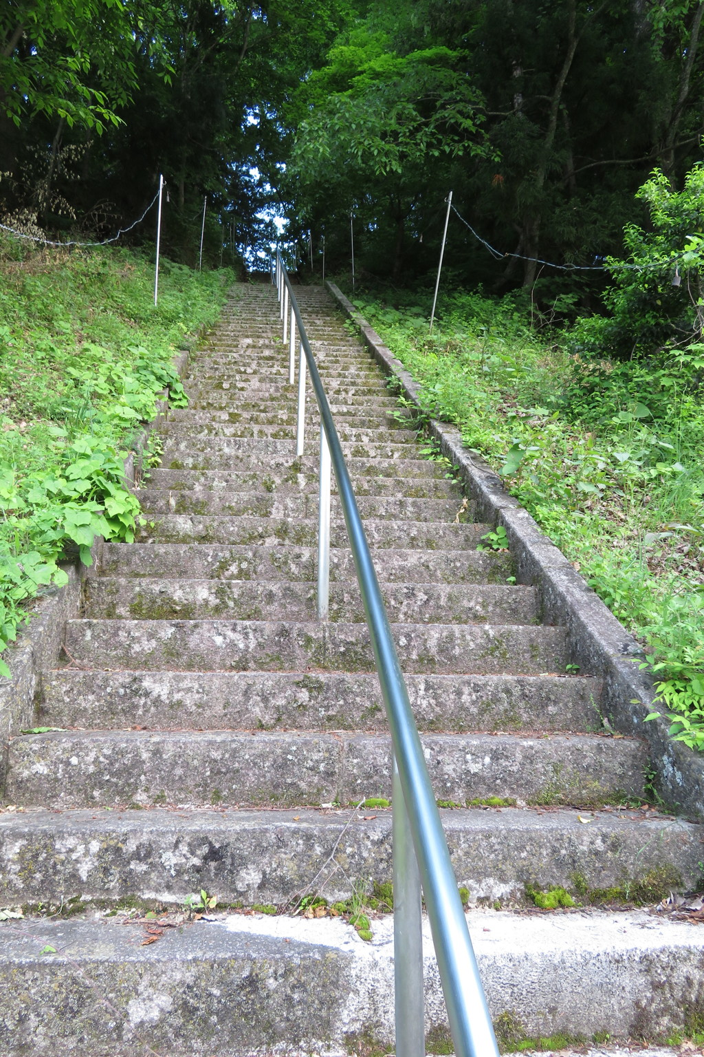 階段を登った先には・・・