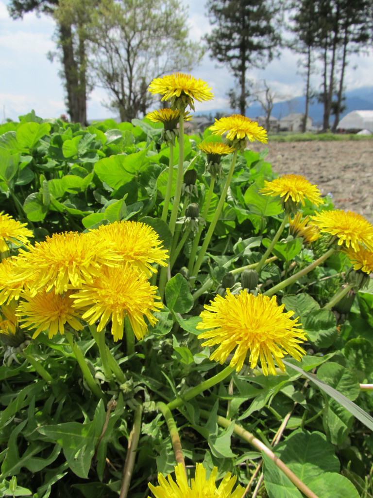 いい加減、大丈夫だよね？