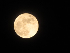 今夜のお月さま