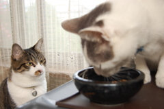 残り物には福がある