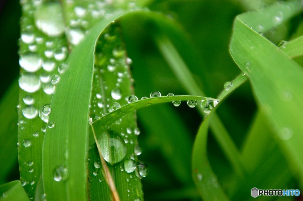 雨あがりⅡ