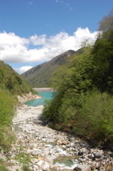 エメラルドグリーン