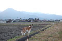 ボク、つまらない。