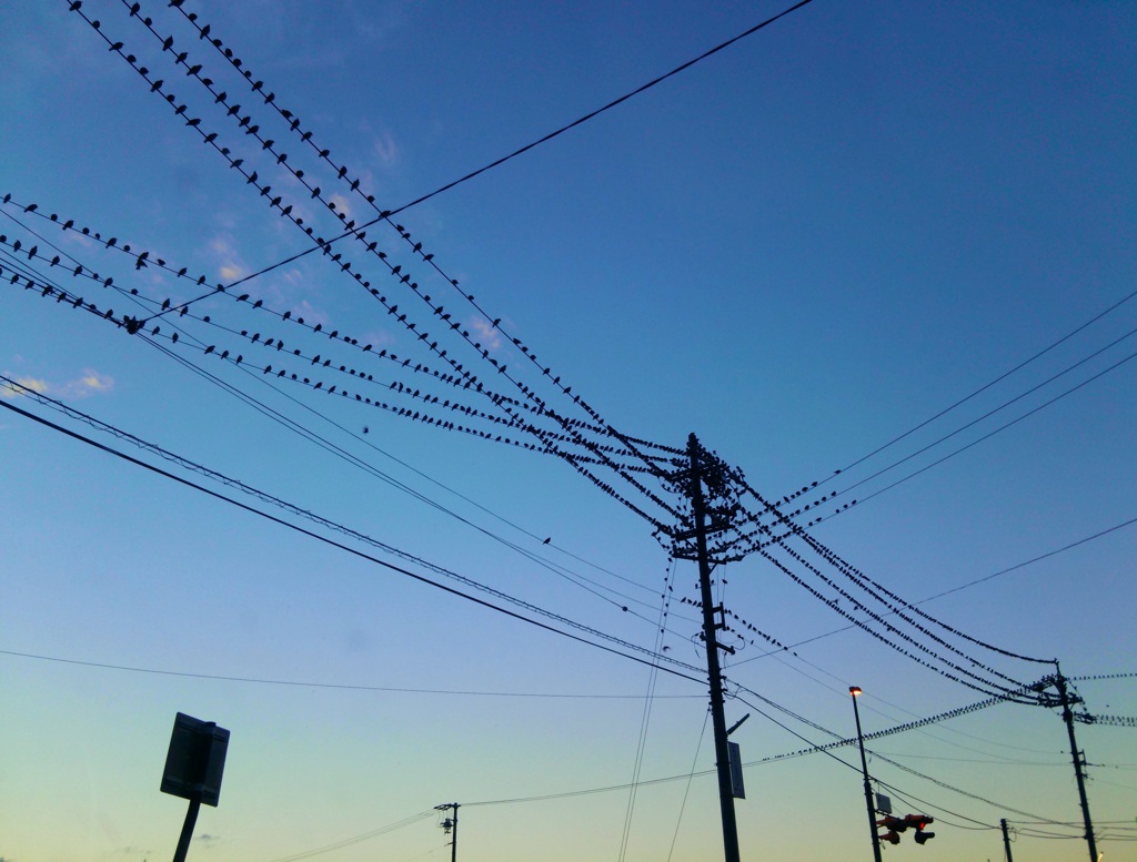 夕暮れ時のぎっちぎち