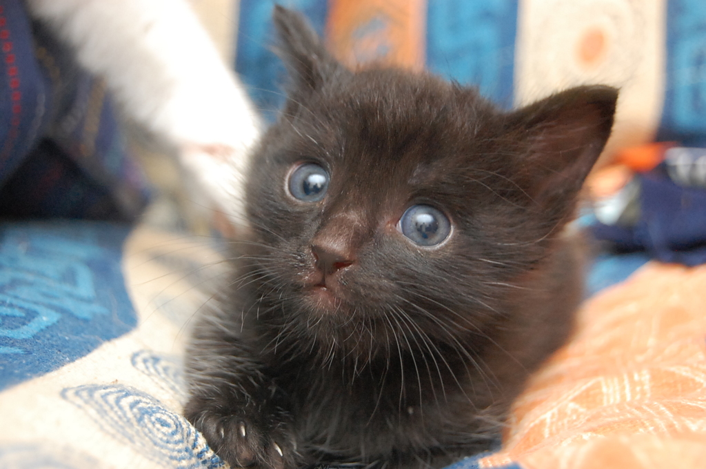 プリティ大地くん②