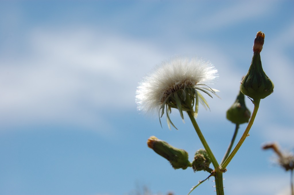 写真を撮っていると(続きあり)