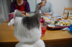 生つば