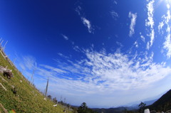 遠くに見える神々の山