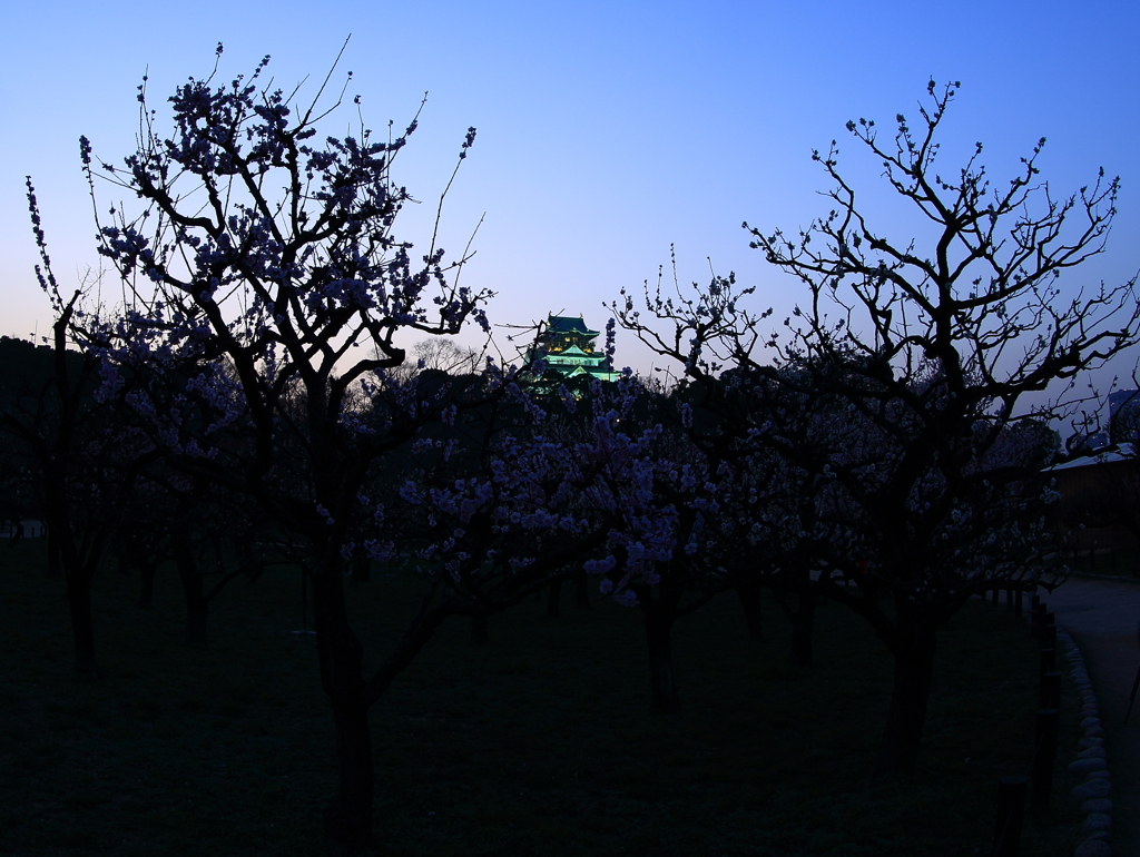 夜のお城（お初）