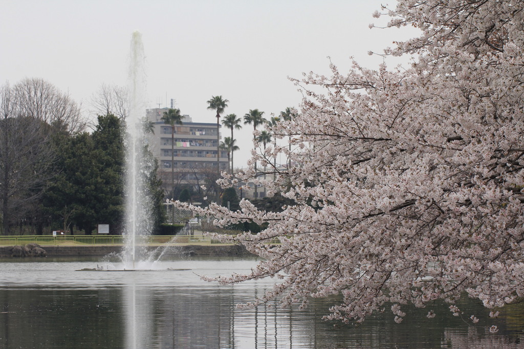 もういっちょ、風景