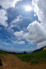 太陽に集中しすぎて