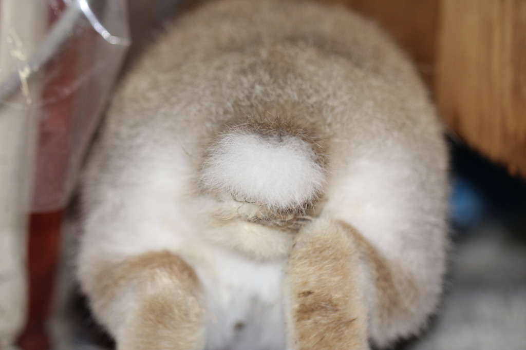 前進！前進！！