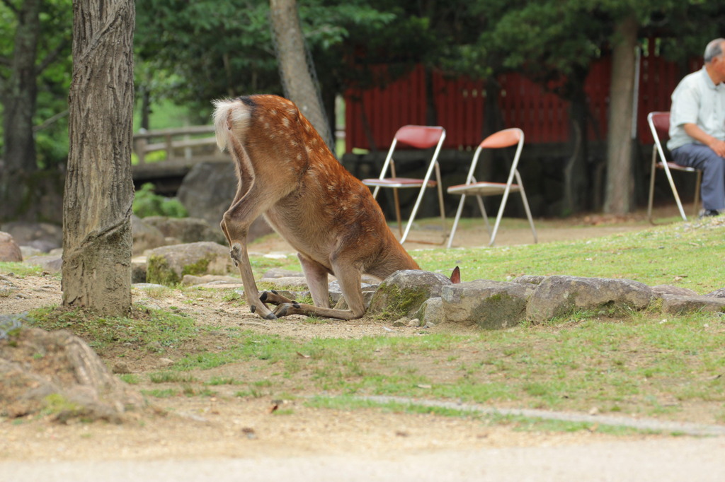 ⑧　膝イタタ、