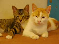 まだ眠いかも～