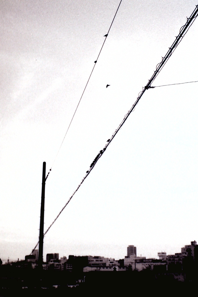 電線