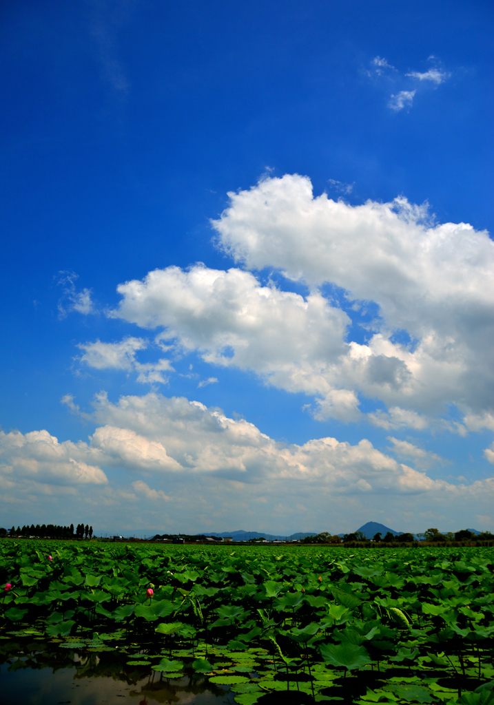 梅雨明け