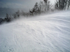 high wind