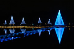 福岡・大濠公園クリスマスイルミネーション