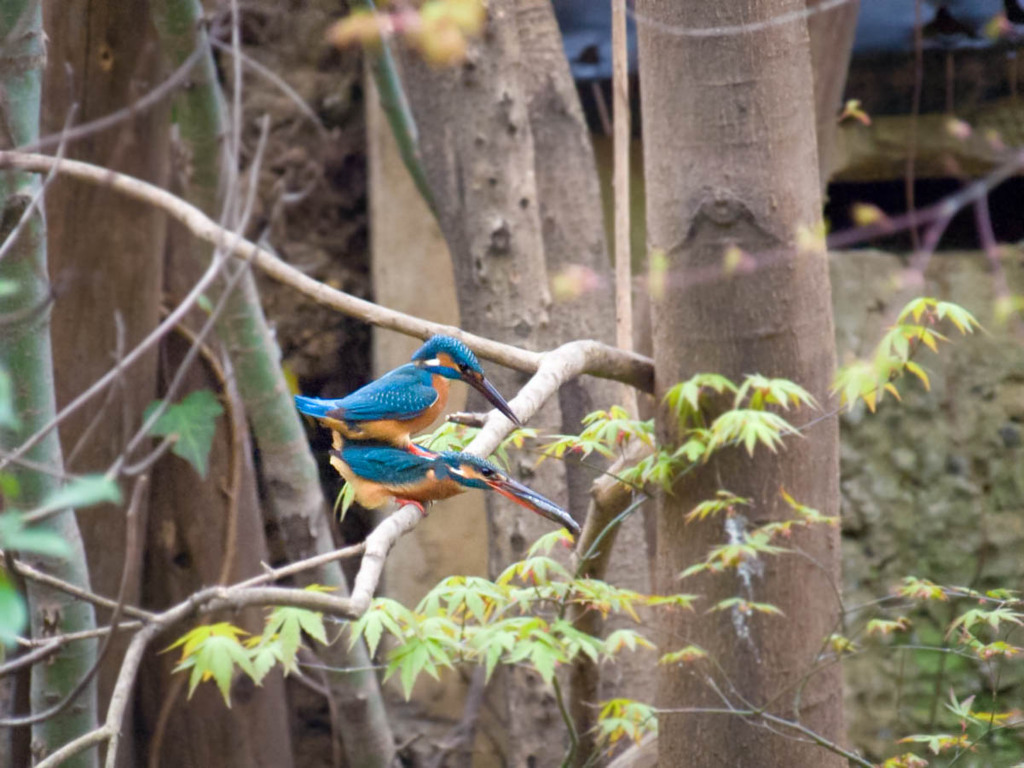 無事カップル成立！