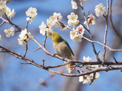 ちゅっ