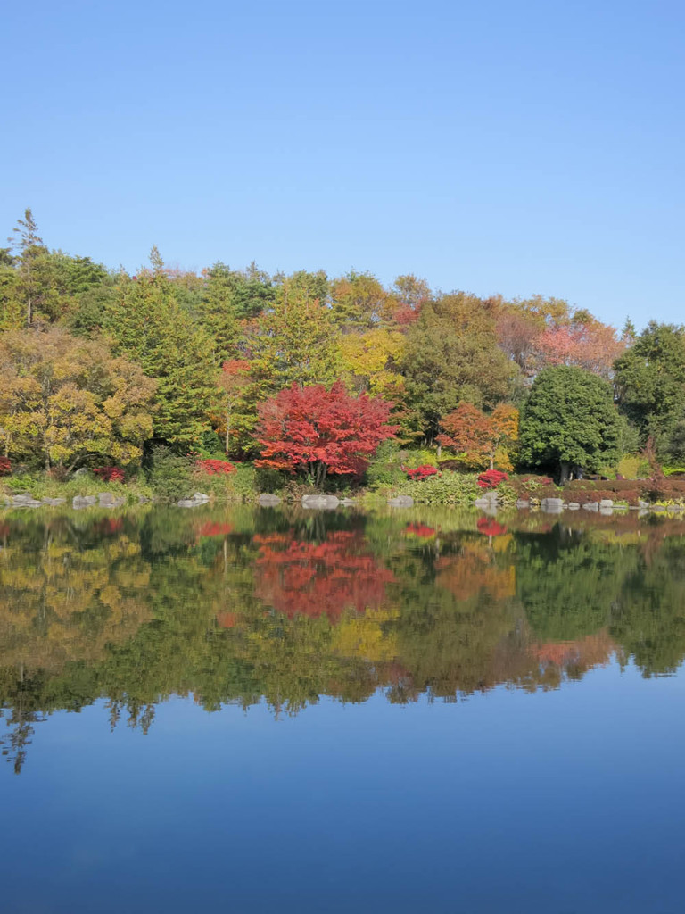 2012年　紅葉狩り