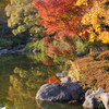 斜陽に染まる紅葉(GX1)