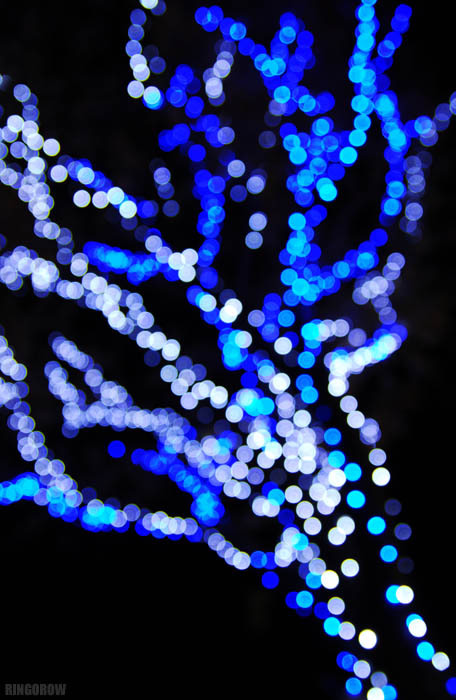 ブルーイルミネーション