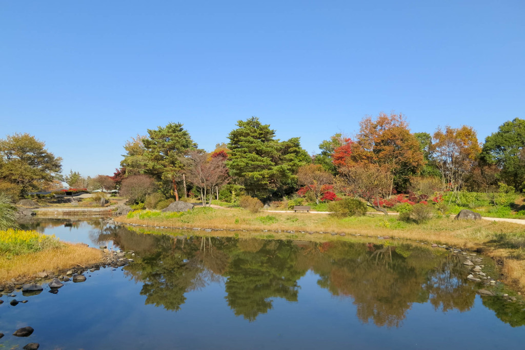 秋の公園風景