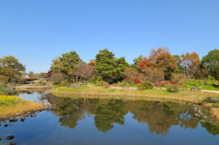 秋の公園風景