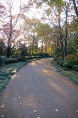夕方の帰り道