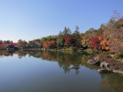 日本庭園の秋