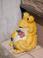 どっこいしょ～カエル