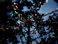 イルミネーショントンネル