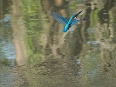 捕獲ミスからの帰還飛行2