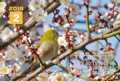 2015年BIRDカレンダーも作りました。