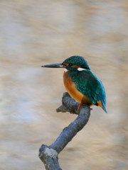 水面きらめくライティング