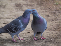 「あら、見られてたわね。」
