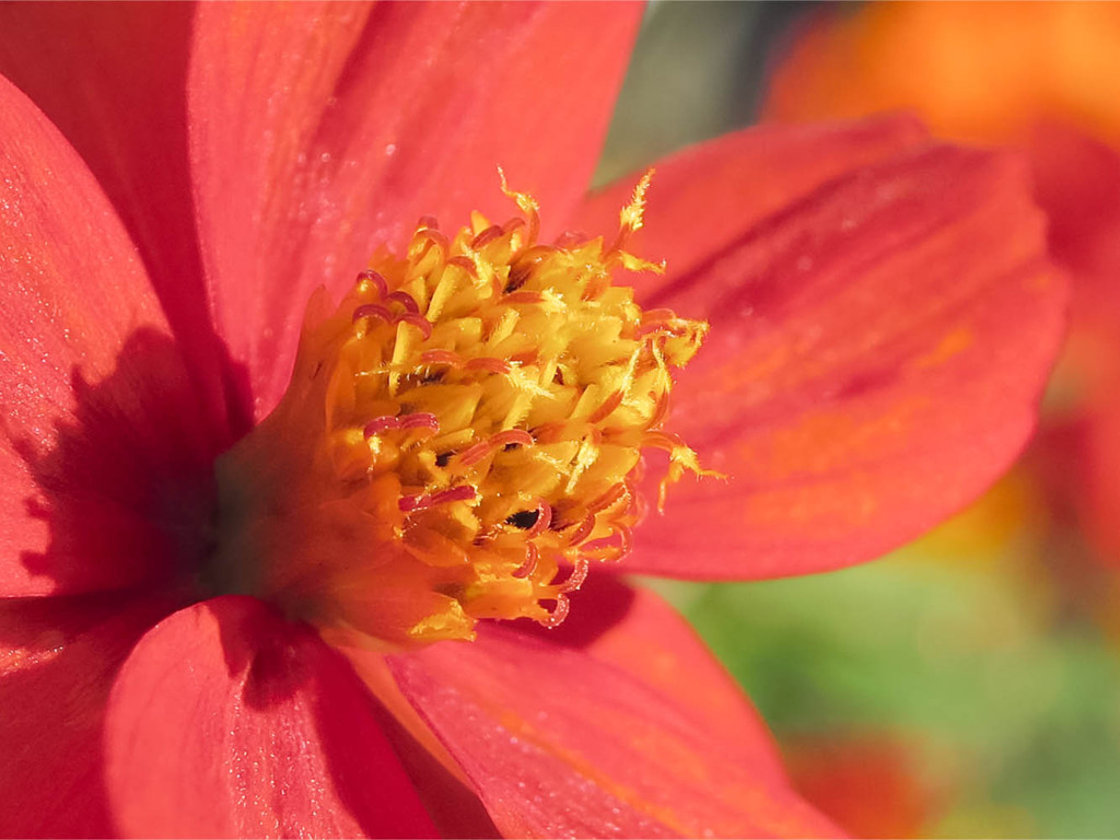 S100　12mm撮り等倍切り取り