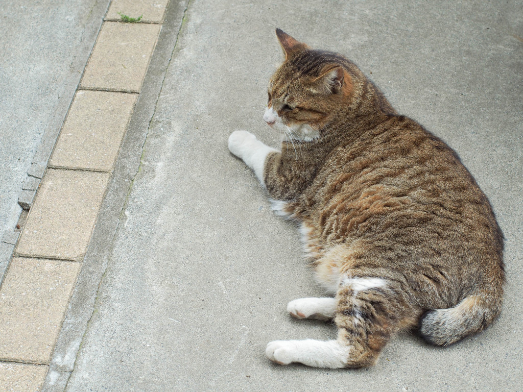 今日はリラックス