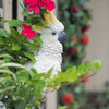 看板娘ならぬ看板インコ