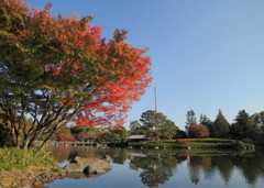秋色庭園