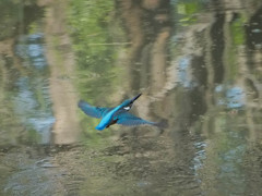 捕獲ミスからの帰還飛行1