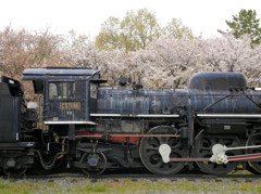桜とSL 02